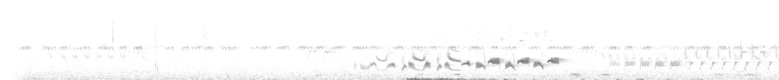 Western Orphean Warbler - ML562265991