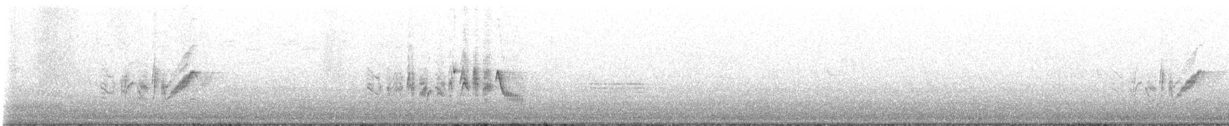 Bell's Vireo - ML562309611