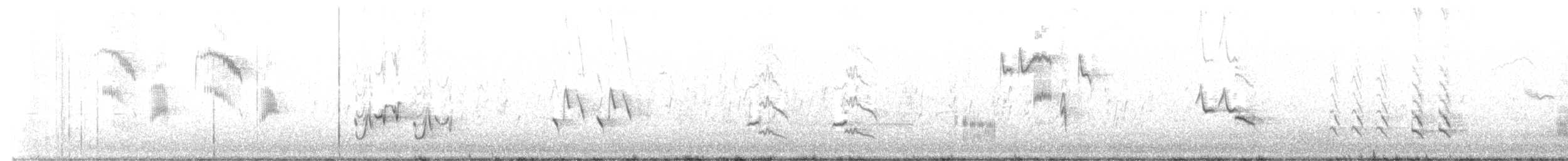 Brown Thrasher - ML562349031
