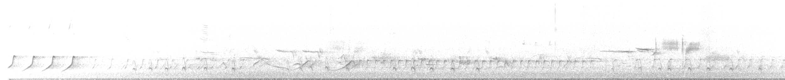 Porsuk Serçesi (leucophrys/oriantha) - ML562359931