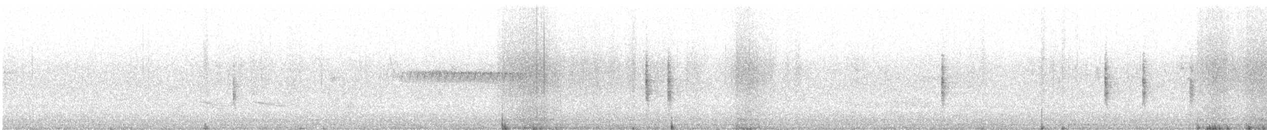 Northern House Wren - ML562364201