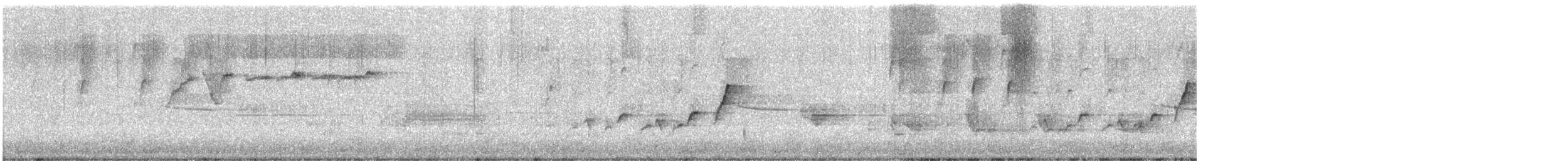 králíček americký - ML562395351