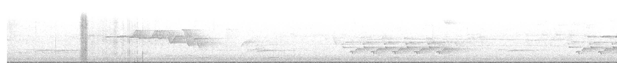 Трясогузковый певун - ML562418931