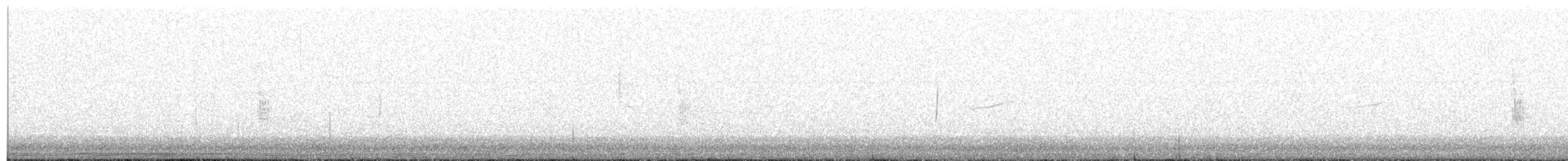 Піві-малюк сірий - ML56242801