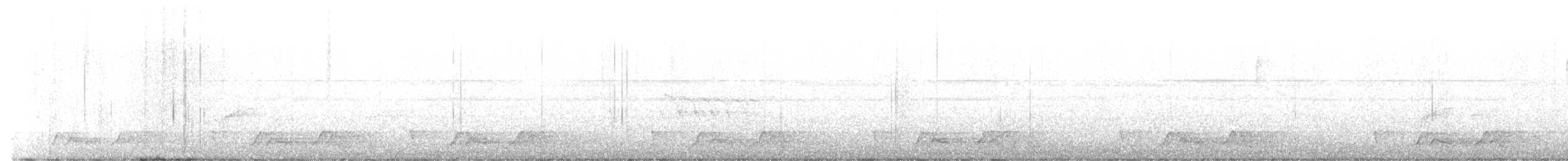 Carolinanachtschwalbe - ML562433141