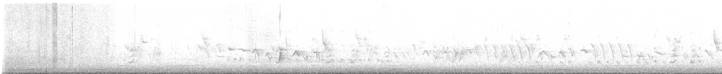 Brown-crested Flycatcher - ML562444621