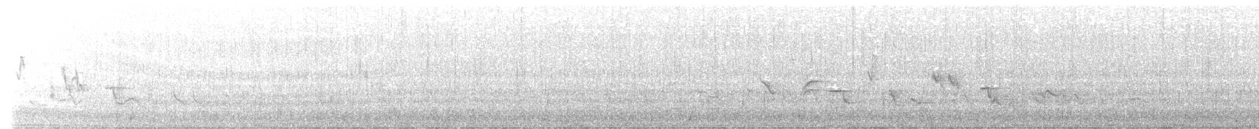 Oriole des vergers - ML562460481