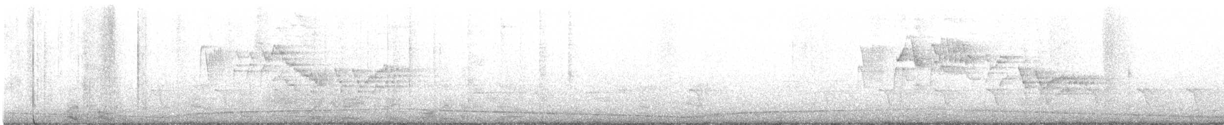 Bicknell Bülbül Ardıcı - ML562466431