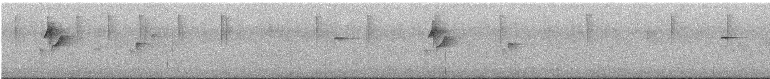 Western Flycatcher (Pacific-slope) - ML562533991