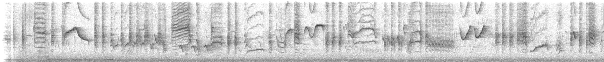 Western Olivaceous Warbler - ML562564281