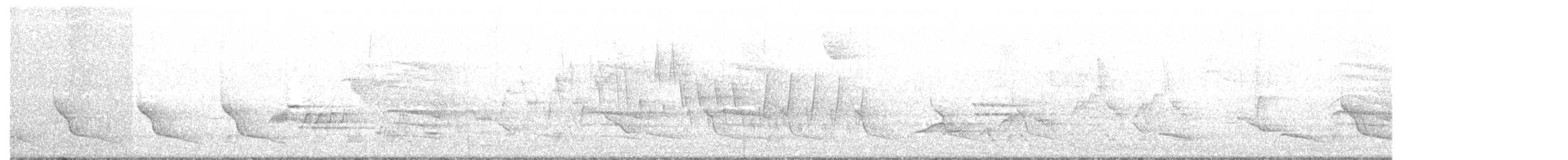 Дрізд-короткодзьоб Cвенсона - ML56259811