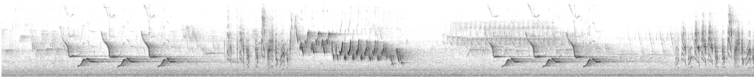 Northern House Wren - ML562602731