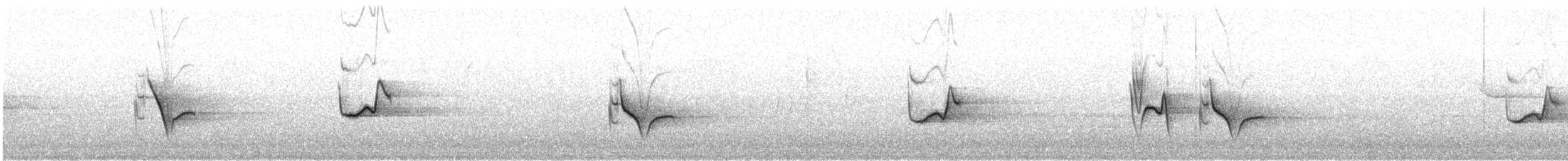 Blue-headed Vireo - ML562602901