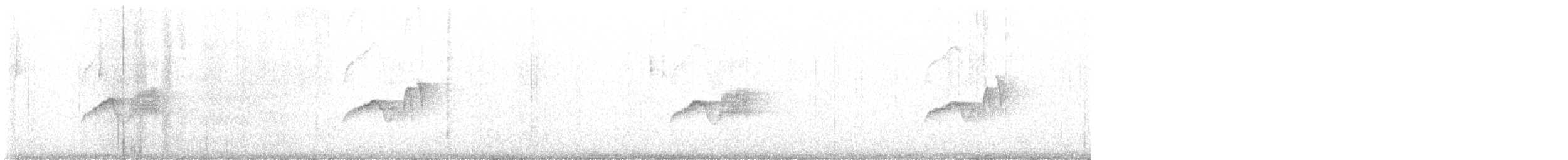 Светлобрюхий фиби - ML562603861