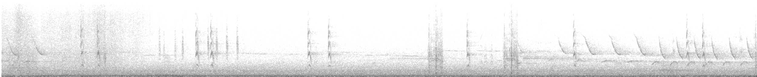 střízlík kanadský - ML562635011