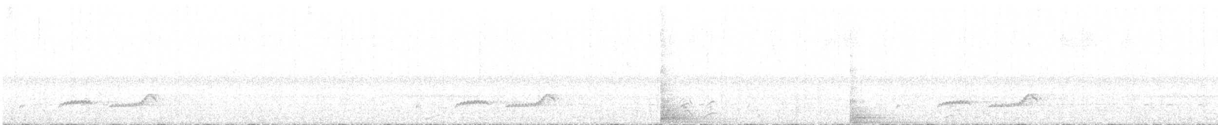 Bergnachtschwalbe - ML562636271