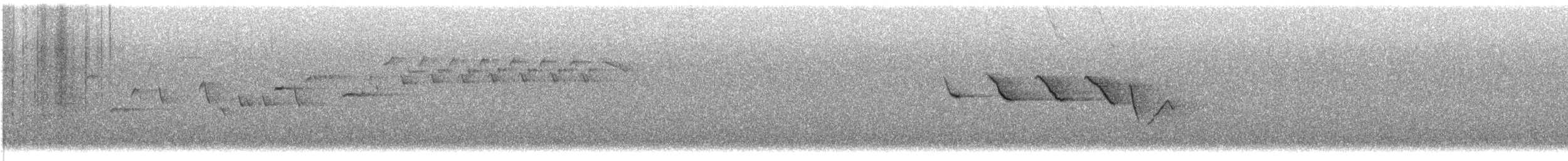 フユミソサザイ - ML562660761