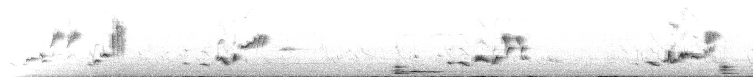 gråflanketrosteskvett - ML562669421