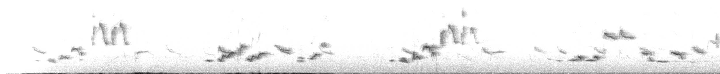 gråflanketrosteskvett - ML562669431