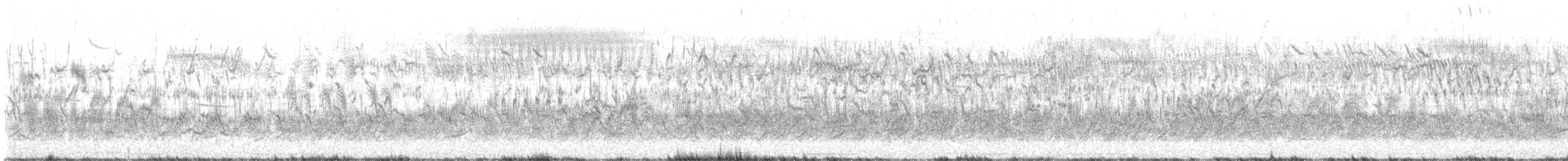 カタジロクロシトド - ML562700941