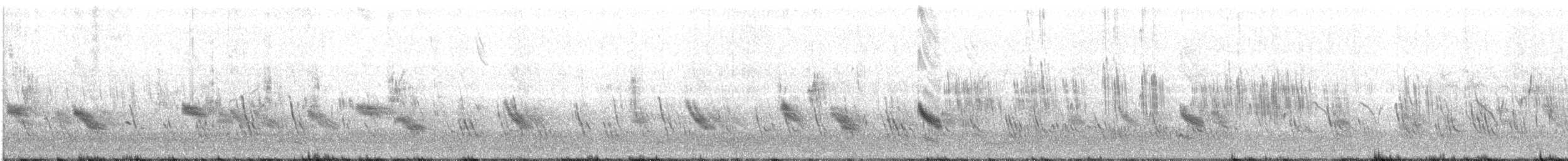 Büyük Mor Kırlangıç - ML56271461