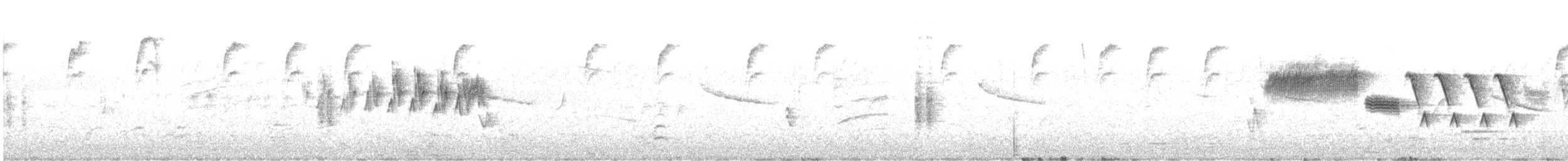Black-throated Gray Warbler - ML562743041
