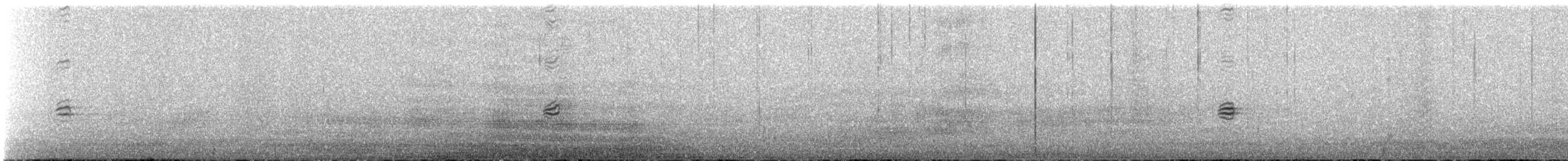 Oriole masqué - ML562833521