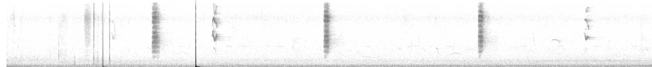 Белокрылый пересмешник - ML562837821