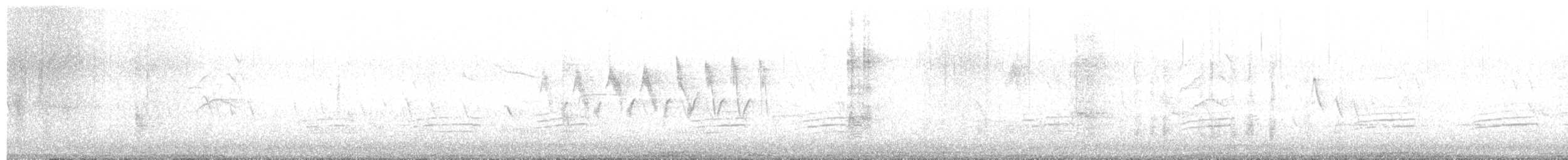 brhlík americký - ML562870521
