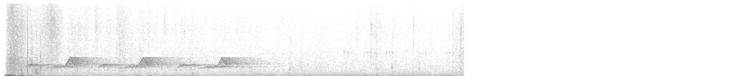 Schwarzkehl-Nachtschwalbe - ML562874311