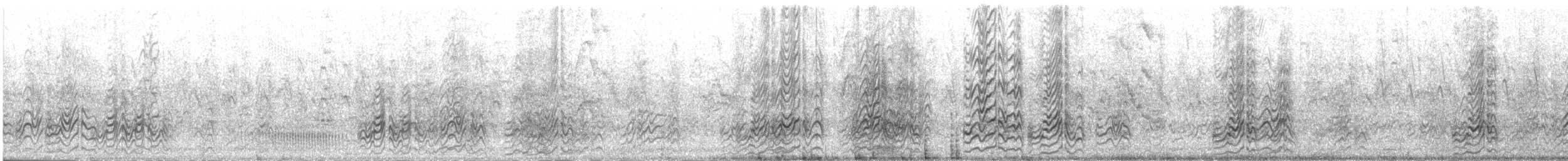 Rußseeschwalbe - ML562939461