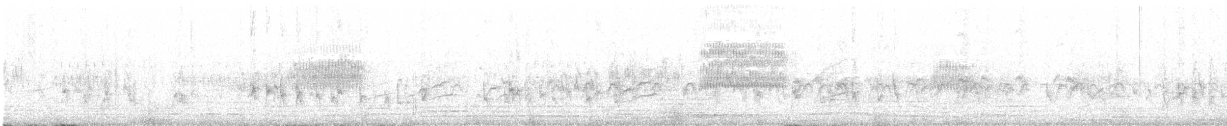 grånakkefjellfink (tephrocotis gr.) - ML562957021