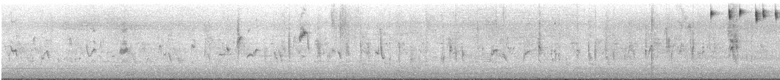 Klappergrasmücke (althaea) - ML562991311