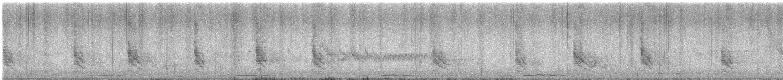 Long-tailed Shrike - ML563002481