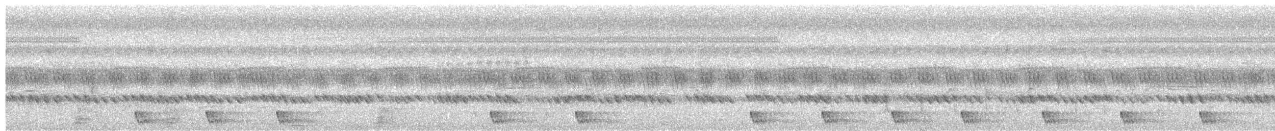 Large-tailed Nightjar - ML563015471