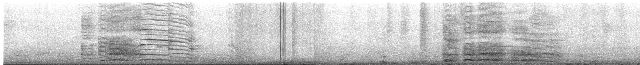 Банкивский петух (Одомашенного вида) - ML563018961