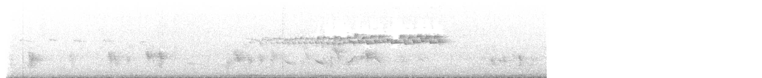Вівчарик світлоногий - ML563019221