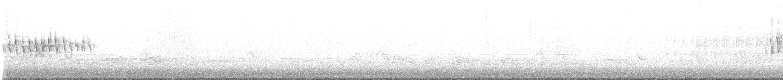 Orange-crowned Warbler - ML563077751