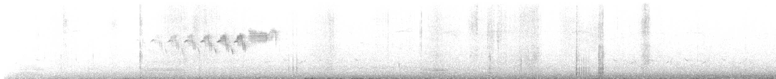 Синекрылый x Коричневый чирок (гибрид) - ML563103171
