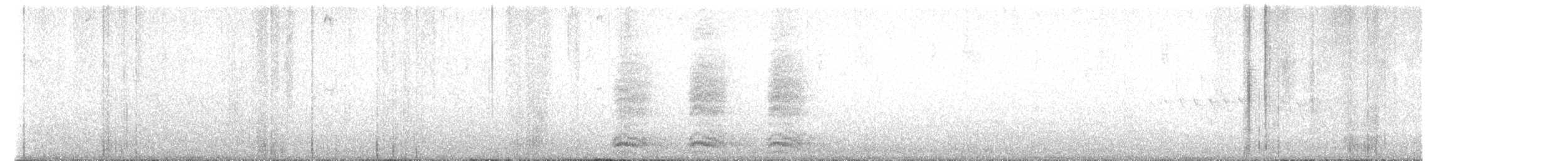 Cuervo Americano - ML563103451