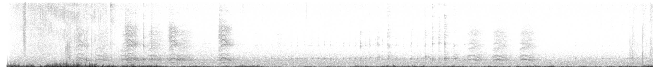 Cuervo Americano - ML563103721