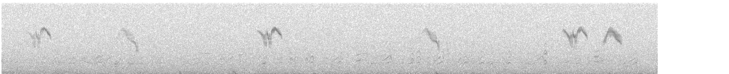 konipas luční (ssp. iberiae) - ML563126031
