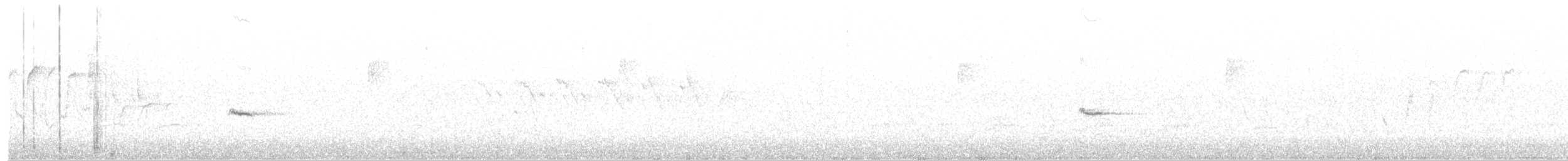 Oriole des vergers - ML56316871