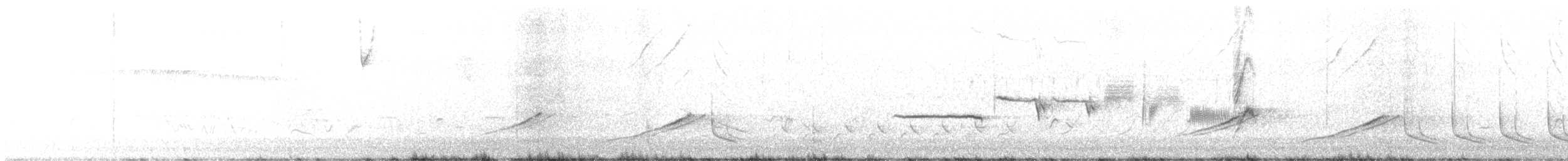 Bruant à couronne blanche (leucophrys/oriantha) - ML563178971