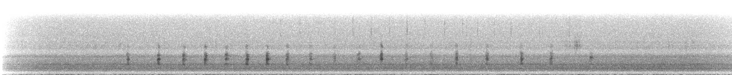 Clapper Rail - ML563195401