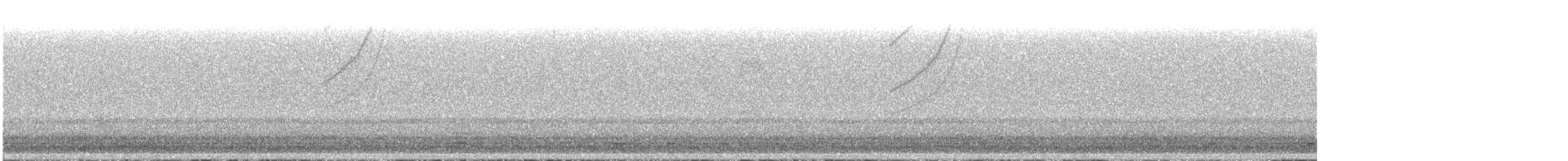 Wood Duck - ML563195701