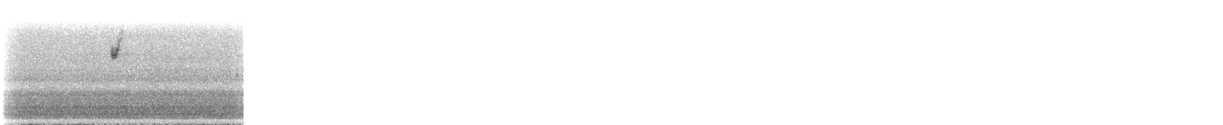 White-crowned Sparrow - ML563196031