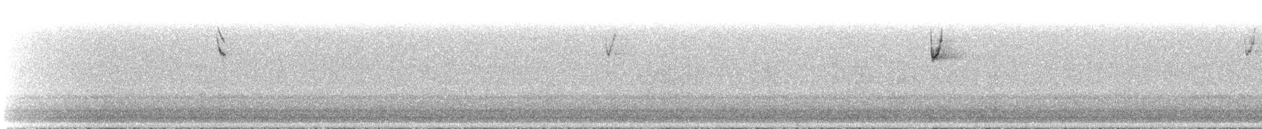 Savannah Sparrow - ML563196151