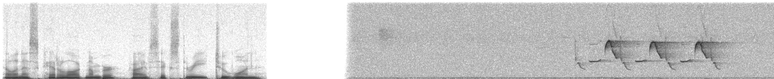Karolina Çıtkuşu - ML56321