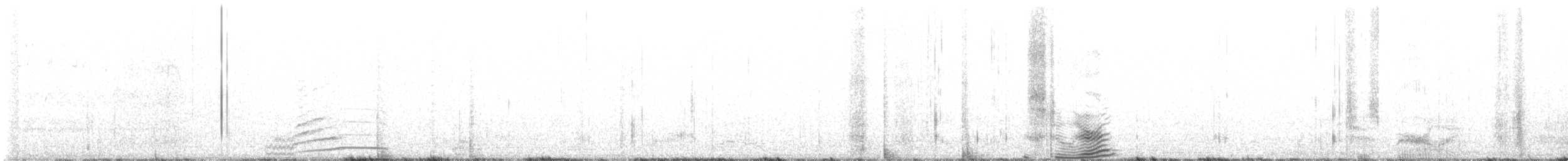 husa běločelá - ML563222551